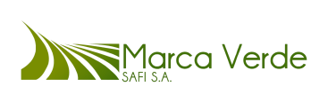 logo7